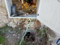 IMG_20230508_141137 (1024x768).jpg